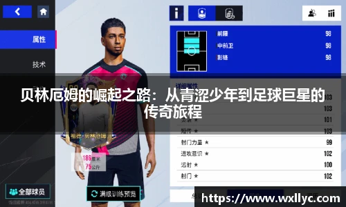 米兰体育官网